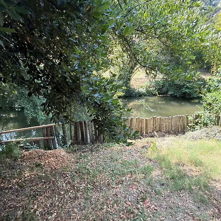 Maison Avec Jardin - * Castres (Tarn)